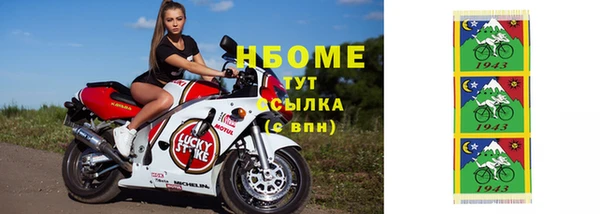 прущий лед Алзамай