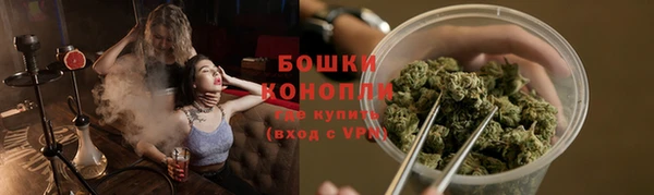 соль ск Алексин