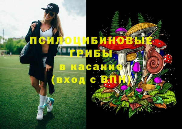 прущий лед Алзамай